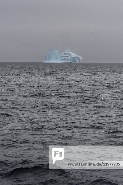 Eisberg am Horizont  Täuschungsinsel  Antarktis