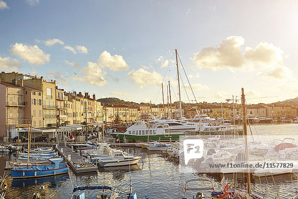 Blick auf Hafenboote und Uferpromenade  St. Tropez  Cote d'Azur  Frankreich