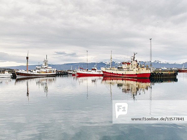 Fischerboote im Hafen  Husavik  Island