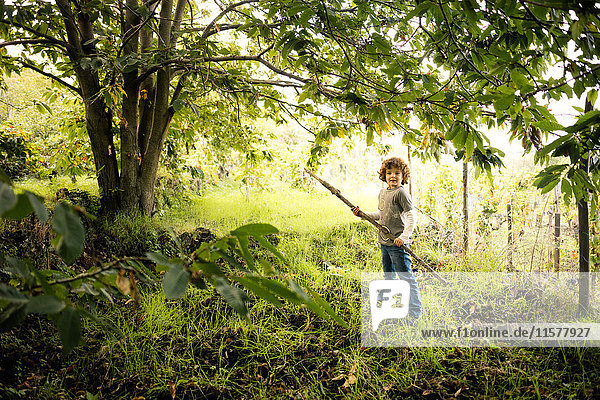 Porträt eines Jungen mit Stange zum Sammeln von Kastanien in Weinbergswäldern