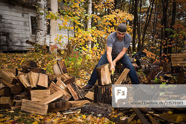 Mid adult man splitting logs in autumn forest  Upstate New York  USA