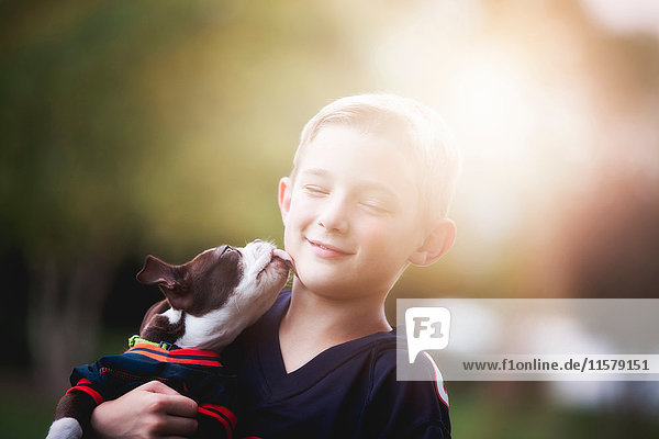 Boston-Terrier-Welpe leckt Jungen das Gesicht