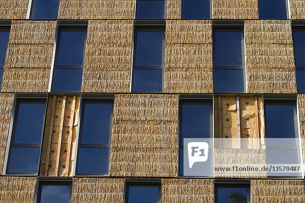 Frankreich  Nordwestfrankreich  Nantes  Isolierung eines Neubaus : Strohdach aus Glaswolle