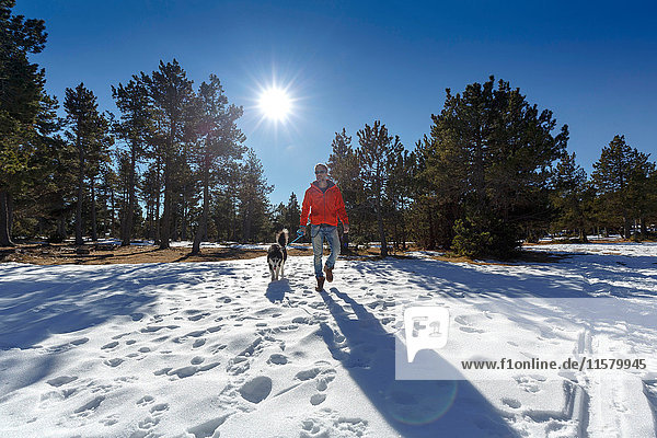 Ausgewachsener Mann geht mit Hund im verschneiten Wald spazieren