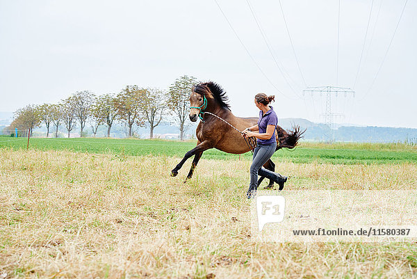 Frau rennt und führt Pferd beim Training im Gelände