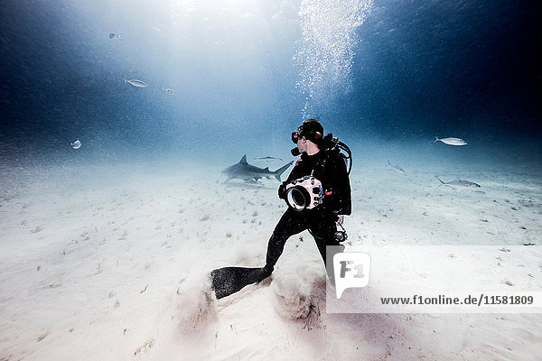Unterwasseraufnahme einer Unterwasserfotografin  die vom Meeresboden zurückblickt
