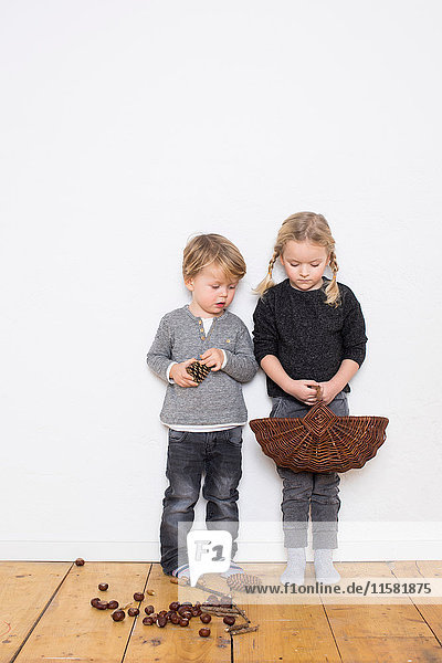 Young girl and boy  girl holding wicker basket  boy holding pine cone  pine cones and conkers on floor