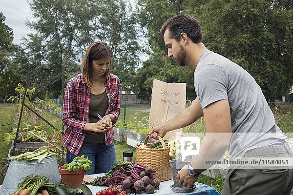 Mid adult couple arranging garden vegetables on table