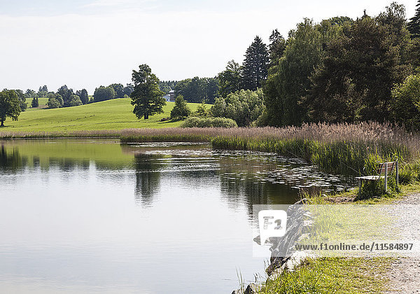 Frühlingslandschaft mit Weiher