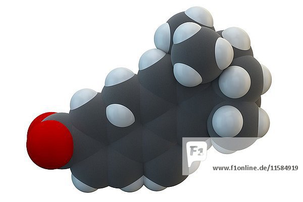 Molekül des Krebsmedikaments Bexarotene. Die chemische Formel lautet C24H28O2. Die Atome sind als Kugeln dargestellt: Kohlenstoff (grau)  Wasserstoff (weiß)  Sauerstoff (rot). Illustration.