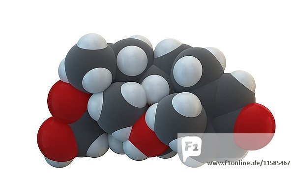 Betamethason ist ein entzündungshemmendes und immunosuppressives Steroidmolekül. Die chemische Formel lautet C22H29FO5. Die Atome sind als Kugeln dargestellt: Kohlenstoff (grau)  Wasserstoff (weiß)  Sauerstoff (rot). Illustration.
