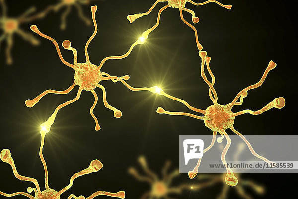 Nerve cells  or neurons  from the human brain  computer illustration.