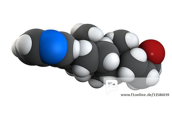 Abirateron Prostatakrebs Medikament Molekül. Die chemische Formel lautet C24H31NO. Die Atome sind als Kugeln dargestellt: Kohlenstoff (grau)  Wasserstoff (weiß)  Stickstoff (blau)  Sauerstoff (rot). Illustration.