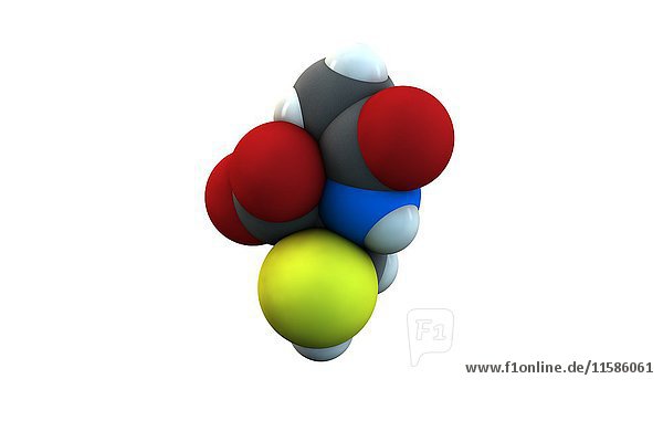 Acetylcysteine (NAC) mucolytic drug molecule  used to treat paracetamol overdose. Chemical formula is C5H9NO3S. Atoms are represented as spheres: carbon (grey)  hydrogen (white)  nitrogen (blue)  oxygen (red)  sulphur (yellow). Illustration.