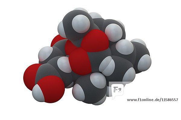 Artesunate malaria drug molecule. Chemical formula is C19H28O8. Atoms are represented as spheres: carbon (grey)  hydrogen (white)  oxygen (red). Illustration.