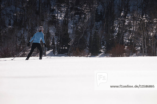 Cross country skier on snowy field