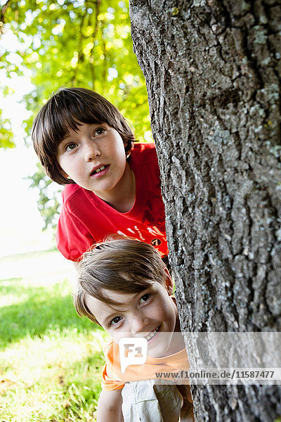 Zwei Jungen verstecken sich hinter einem Baum - Nahaufnahme