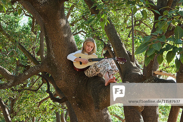 Gitarre spielendes Mädchen im Baum