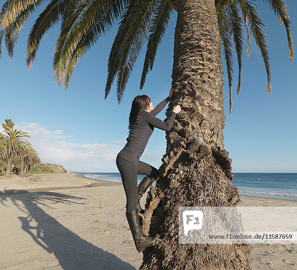 Frau klettert am Strand auf Palmen
