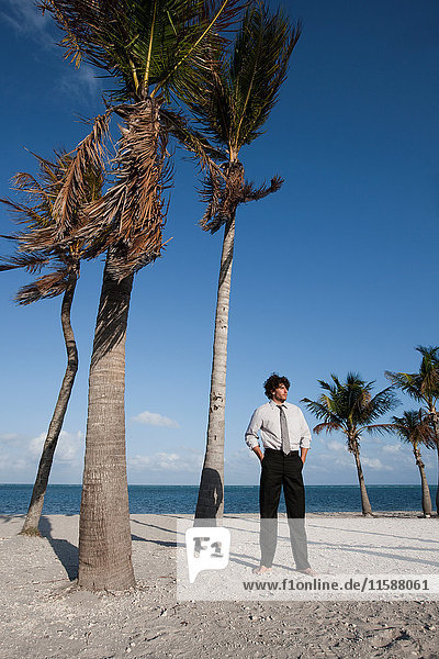 Businessman standing by palm tree on beach