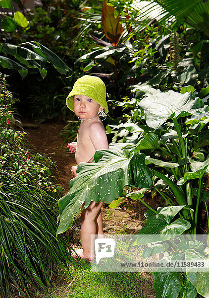 Kleiner Junge steht im Dschungel der Pflanzen