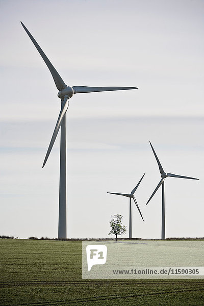 Wind Turbines in green landscape