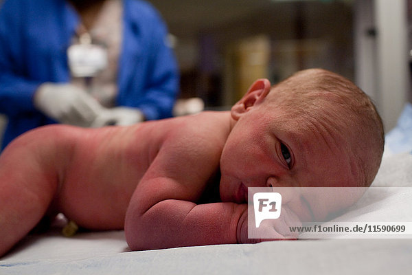 Newborn baby boy lying on front in hospital