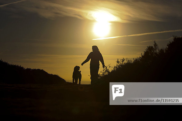 Frau geht bei Sonnenuntergang mit ihrem Hund spazieren