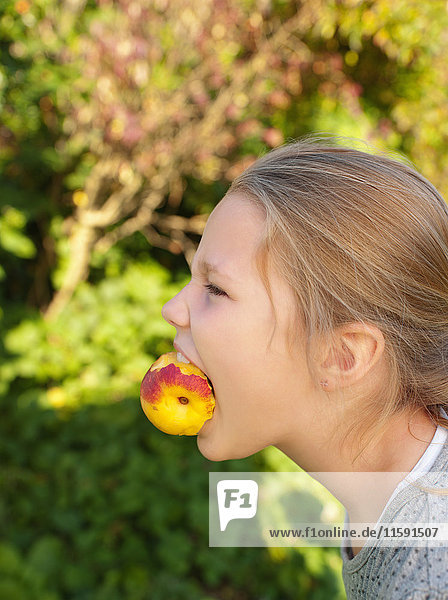 Young girl holding peach in mouth  profile