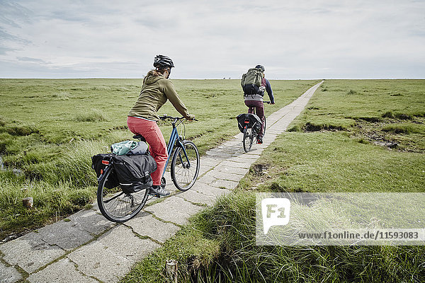 Germany  Schleswig-Holstein  Eiderstedt  couple riding bicycle through salt marsh