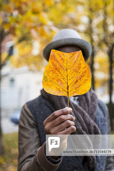 Man's hand holding autumn leaf