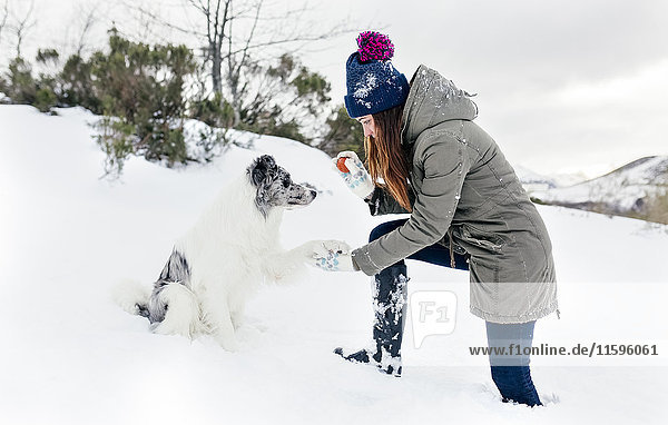Young woman playing with her border collie in the snow