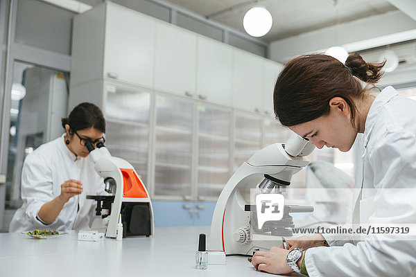 Laboranten mit Mikroskopen im Labor