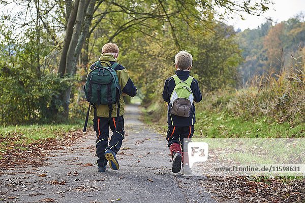 Back view of two little boys with backpacks walking side by side in autumnal nature