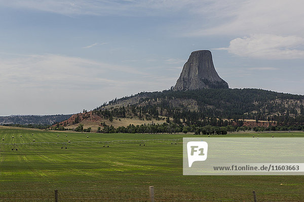 Devils Tower-Felsen und Farmfelder in abgelegener Landschaft  Wyoming  Vereinigte Staaten