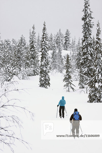 Women skiing in winter forest