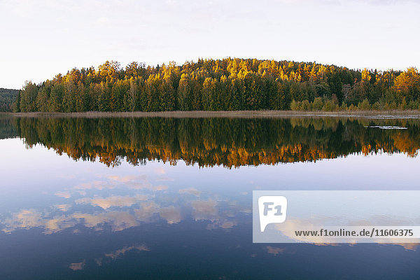Landschaftlicher Blick auf Herbstbäume nu ruhigen See