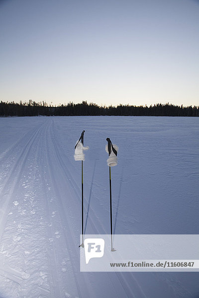Skistöcke und Handschuhe in verschneiter Landschaft gegen den klaren Himmel bei Dämmerung