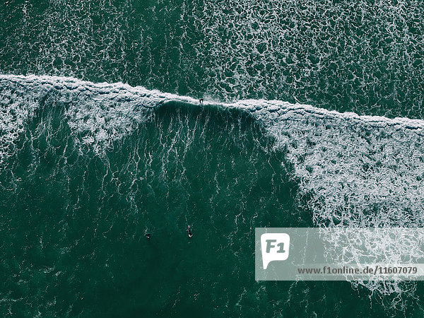 Luftaufnahme der Surfer im Meer  False Bay  Kapstadt  Südafrika