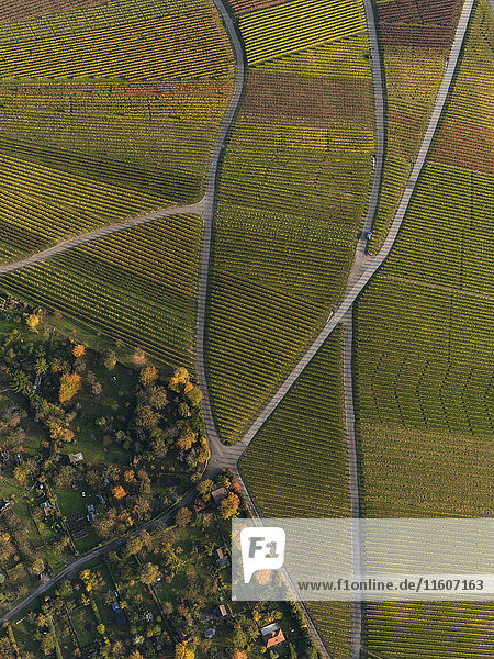 Luftaufnahme der Kulturen in der Landwirtschaft im Herbst,  Stuttgart,  Baden-Württemberg,  Deutschland