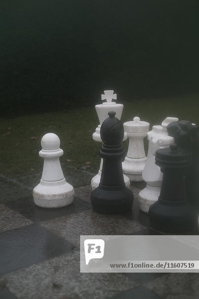 Große Schachfiguren an Bord im Park