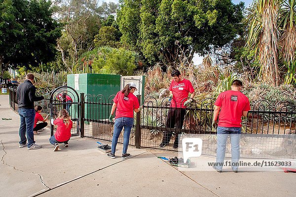 Wearing T-shirts supplied by a local bank sponsor  Hispanic and Caucasian charity volunteers paint a fence in a park in Anaheim  CA.