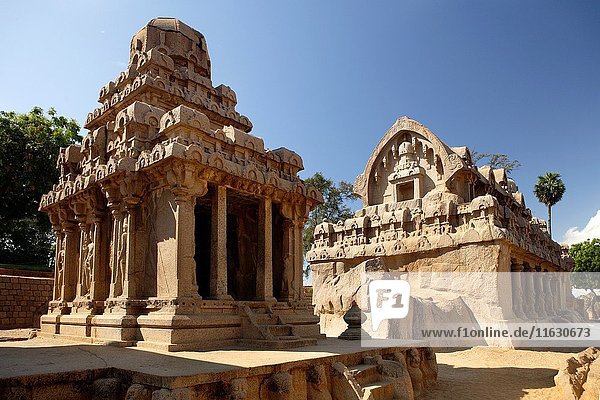 The Five Rathas Group  Mahabalipuram  UNESCO World Heritage Site  Near Chennai  Tamil Nadu state  India  Asia.