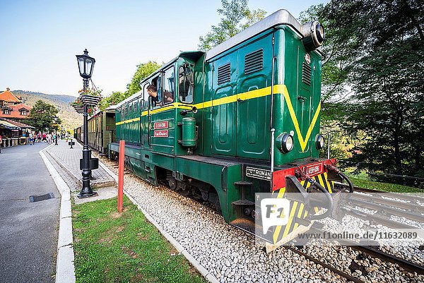 FAUR diesel locomotive L45H-096 from 1987 of Sargan Eight narrow-gauge heritage railway on Mokra Gora station  Serbia.