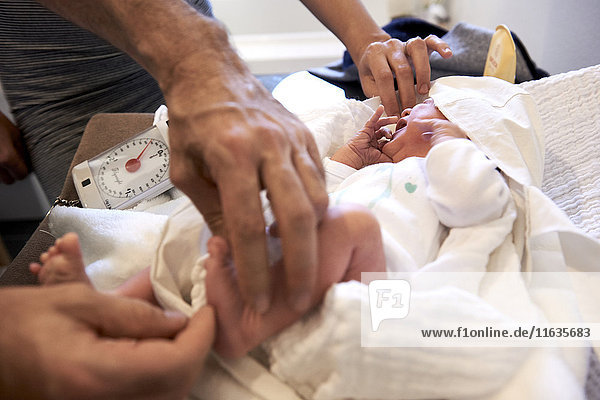 Reportage on a midwife in Lyon  France. Weighing a 7-day old baby in a baby scale bag.