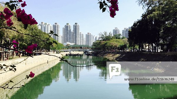 Friedlicher Stadtfluss mit Stadtbild im Hintergrund  Taipo  Hongkong  China