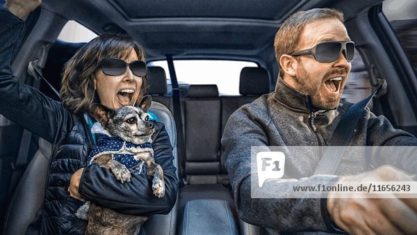 Couple and Dog Spinning in Car