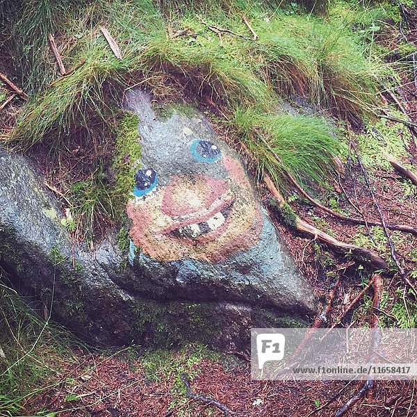 Lächelndes Gesicht auf Felsen gemalt mit bewegtem grünen Haar