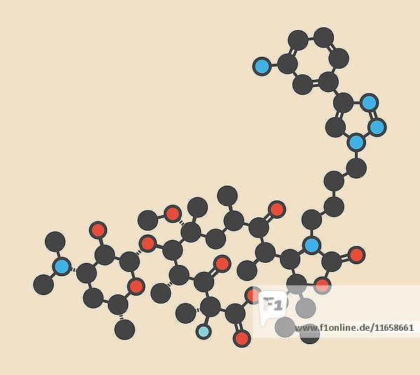 Molekül des antibiotischen Wirkstoffs Solithromycin. Stilisierte Skelettformel (chemische Struktur): Die Atome sind als farbcodierte Kreise dargestellt: Wasserstoff (verdeckt)  Kohlenstoff (grau)  Stickstoff (blau)  Sauerstoff (rot)  Fluor (cyan).