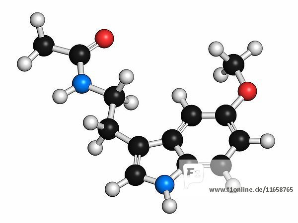 Melatonin hormone molecule. In humans  it plays a role in circadian rhythm synchronization. Atoms are represented as spheres with conventional colour coding: hydrogen (white)  carbon (grey)  oxygen (red)  nitrogen (blue).